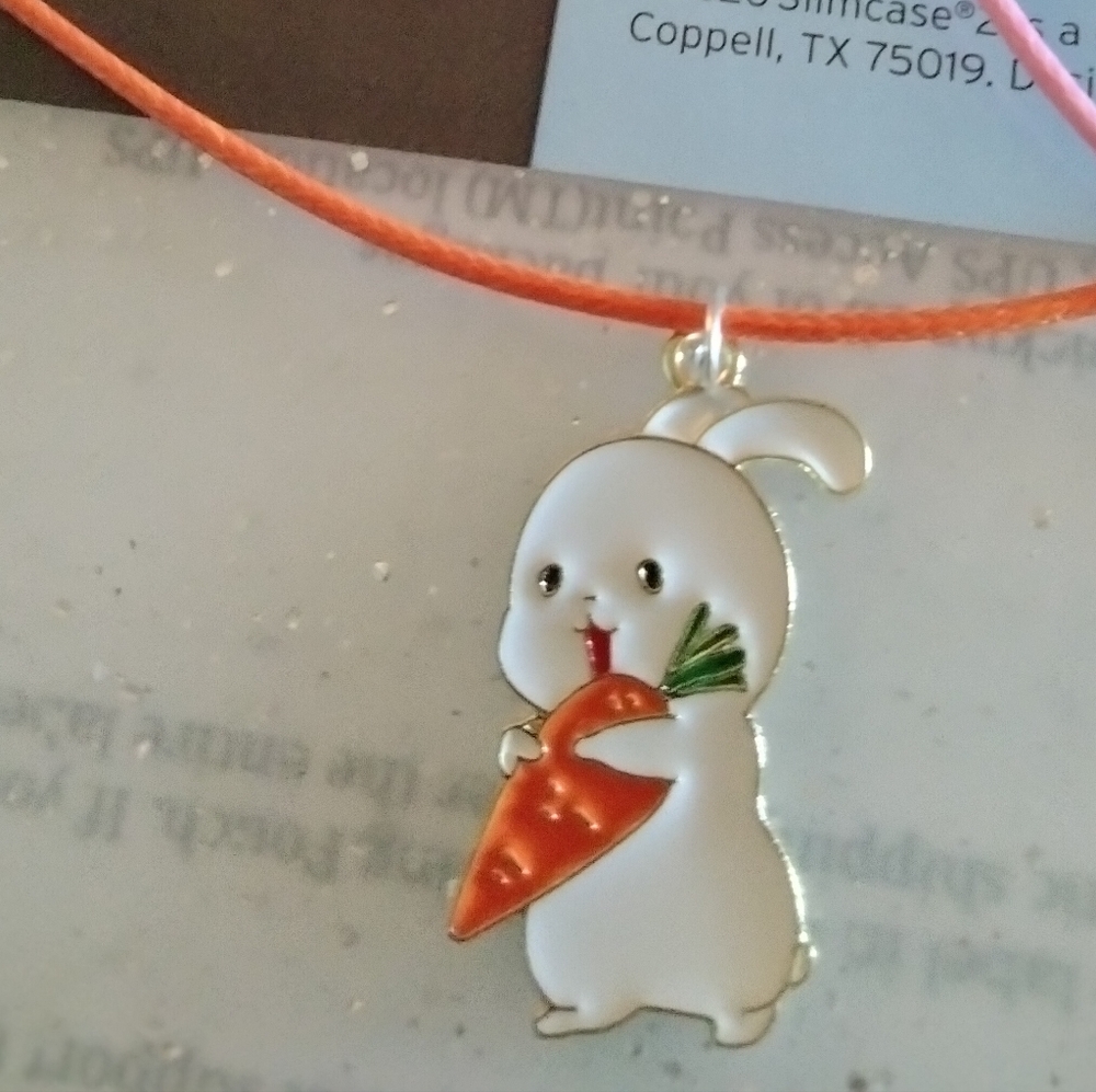 Bunny with carrot necklace